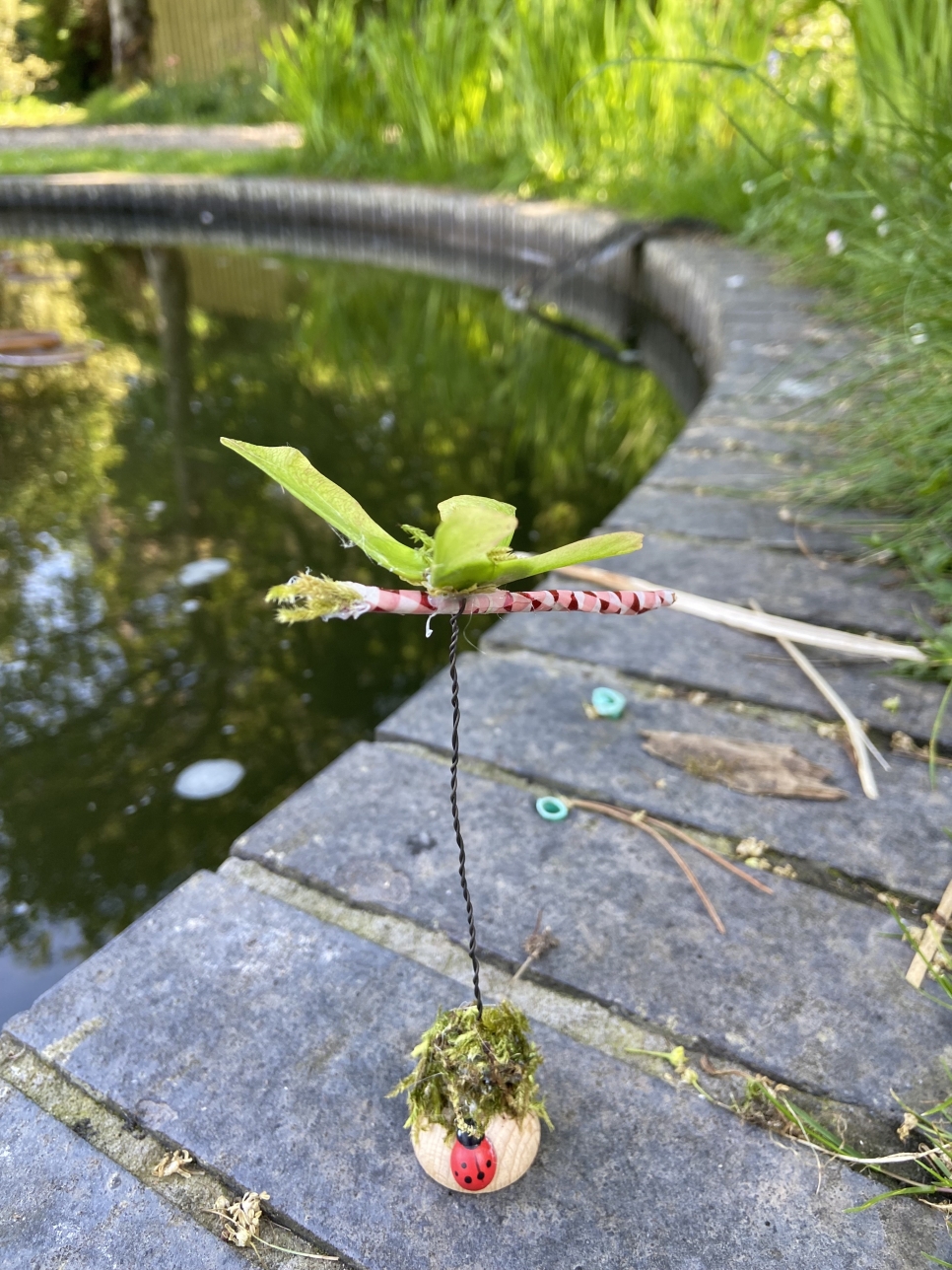 View: Build your own dragonfly